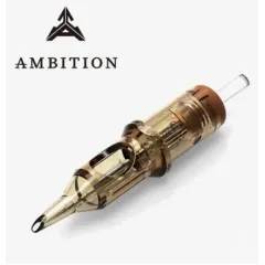 Ambition 1013 RM cartridges