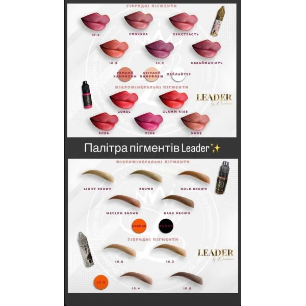 Pigment Leader by Druzhinina 10.5 Blaсk Coffee for eyebrows