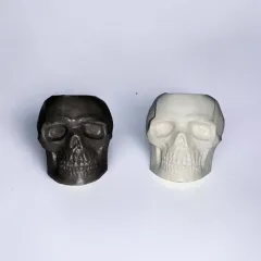 Plaster skull