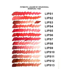 Pigment Leader by Druzhinina Lips 8