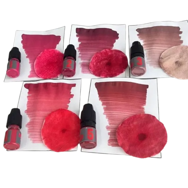 Set of lip pigments LEADER by Druzhinina x Viktoria Solovei