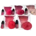 Set of lip pigments LEADER by Druzhinina x Viktoria Solovei