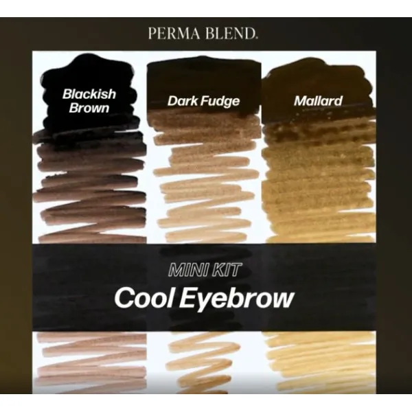 Набір для татуажу Perma Blend - Cool Eyebrow Mini Set