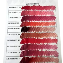 Hybrid pigment Leader LIP PIGMENT X1