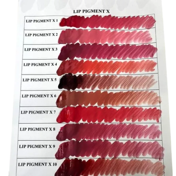 Hybrid pigment Leader LIP PIGMENT X1