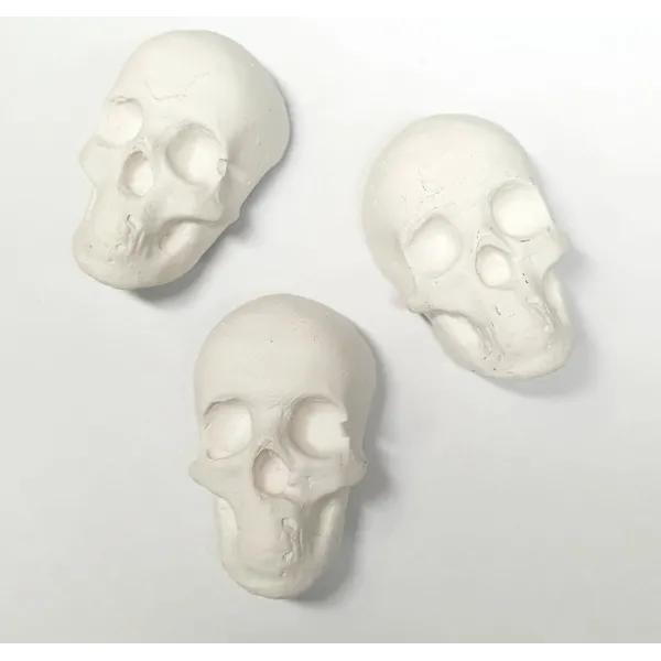 Magnetic skulls from SkullWat