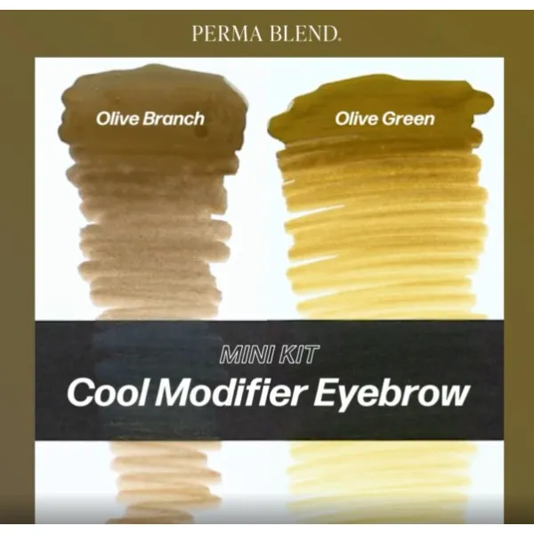 Perma Blend - Cool Modifier Eyebrow Mini Set